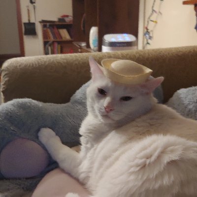 churaxsis's profile picture. Gnoticer