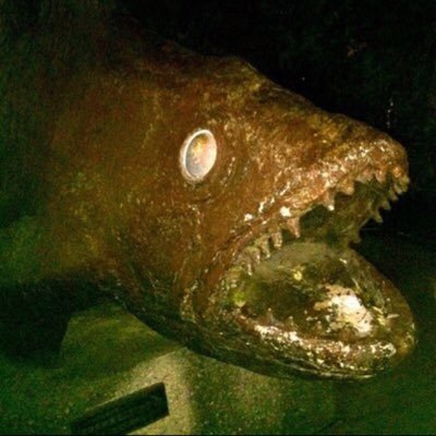 sknyr's profile picture. 亀田阿依音さんは今でも自慢の推しメン、風間玲マライカさんの「秘密」は神、#みおりちゃんはえらい 、ココナちゃんの可愛さは永遠、矢川葵さんは顔面が天才、楠ゆりさんはアイドルのど真ん中。ジェフユナイテッド市原・千葉も結構好き。フォロー・リムーブはご自由にどうぞ。