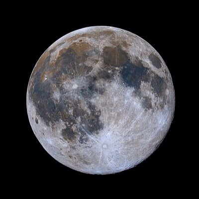 jojobaba919's profile picture. 178 70 9n년대생