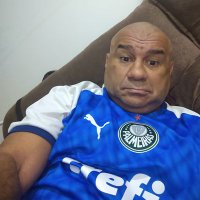 jjletto😷💉🇧🇷🐗🐷 Palestra - SEP (@jotafontes1) 's Twitter Profile