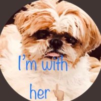 Kate (@kakakakaty2) 's Twitter Profile