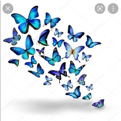 Não haverá borboletas se a vida não passar por longas e silenciosas metamorfoses.