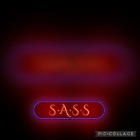 SASSACADEMY (@academysass) 's Twitter Profile Photo SASSACADEMY (@academysass) 's Twitter Profile Photo