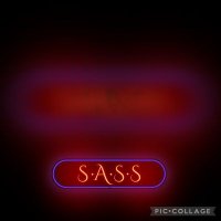 SASSACADEMY(@AcademySass) 's Twitter Profileg