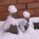 lynn wakefield - @encouraginlyn - Twitter