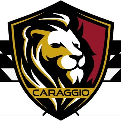 The Central Hub to Automotive Industry; 4800+ Brands/3.3M Parts
Performance - Off Road - Racing - and more..
Caraggio = King of the Asphalt and Off-Road Jungle!
