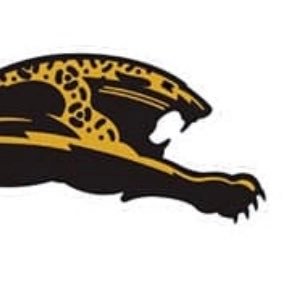 FamedGuardian's profile picture. Jacksonville Jaguars, FSU, Braves #DTWD