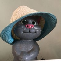 炒币的猫 (@cbdcat) 's Twitter Profile