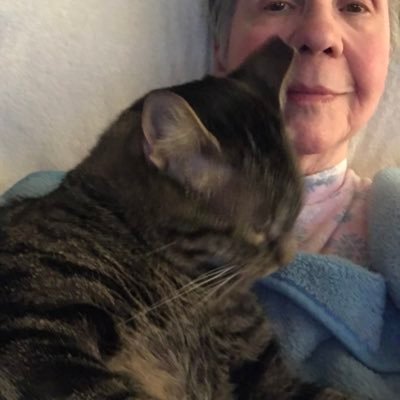 kitties are: Mellone 2022. Guinness OTRB 11/11/21 joined sweet LillyBelle OTRB 6/17/20, Fancy OTRB 2019 Biscuit OTRB Oct/16/16