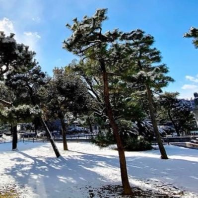 countercu1's profile picture. 