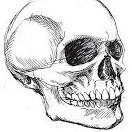 Ultimate Skulls NFT (@ultimateskulls) 's Twitter Profile