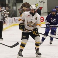Nolan Chastko (@nolan_chastko) 's Twitter Profile