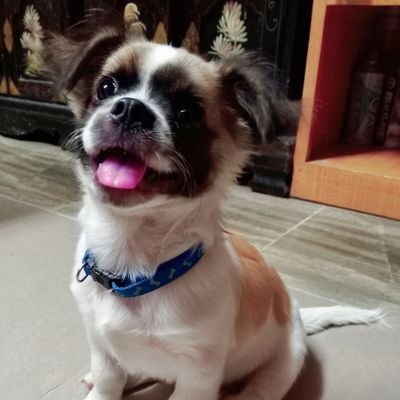 cabaral_l's profile picture. 