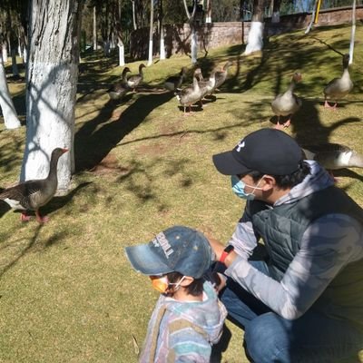 arellanoricard's profile picture. Maestro en Derecho, Universidad Autónoma de Zacatecas.