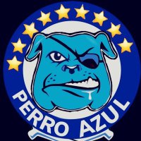 blue dog ☠️🐶(@perroazulll) 's Twitter Profileg
