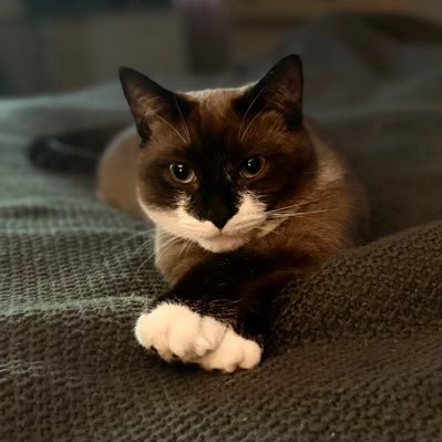 Becky86497982's profile picture. 