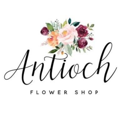 Support our small business & add our new Twitter 🌼