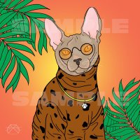 NiksMcCoy (@niksmccoy) 's Twitter Profile