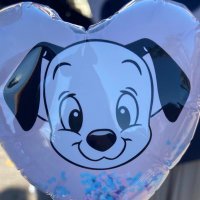 ちゃむ (@hnrsto) 's Twitter Profile Photo