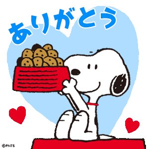 enHQ7x3c396MQg6's profile picture. 九大法L-６