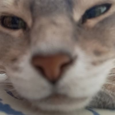 yyojo2's profile picture. 