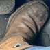 TNin2boots (@tnin2boots) Twitter profile photo TNin2boots (@tnin2boots) Twitter profile photo