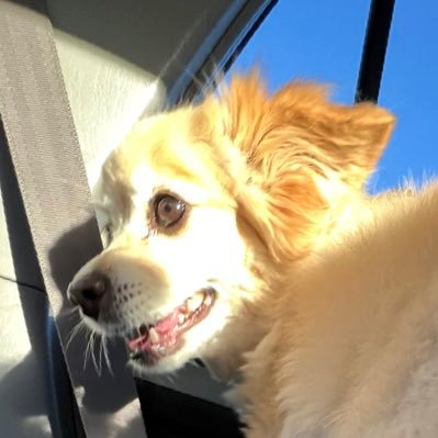 annabevernyyy's profile picture. valid fr