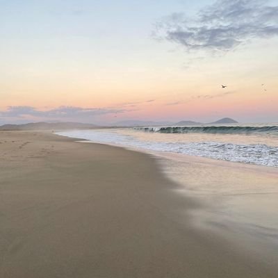 Wouter0229020's profile picture. 