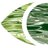 Michiel_vanLoon's profile image