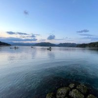 京都大阪ローションフェラ (@djk3s6) Twitter profile photo