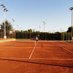 César A. González A. ® 🎾 🐾 (@cesaraga) Twitter profile photo César A. González A. ® 🎾 🐾 (@cesaraga) Twitter profile photo