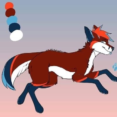 I love fursuits and I Lost my left leg because of cancer and I have seizures