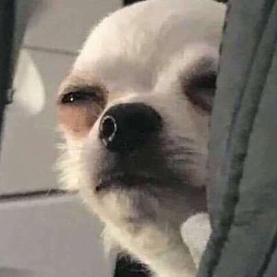 Lerato_MM_'s profile picture. 🇿🇦