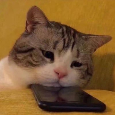 3012_0606's profile picture.