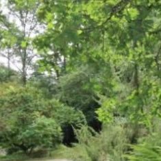 labimbococo's profile picture. Bimbo coco