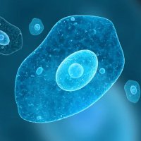 Ameba Flash (@amebaflash) 's Twitter Profile Photo