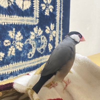 てさんのプロフィール画像