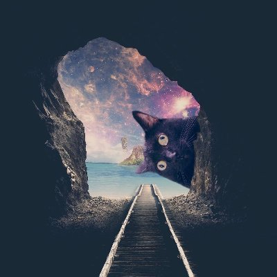 Je_Kachan's profile picture. 