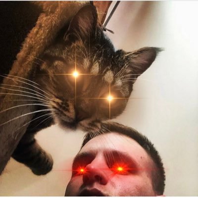 hodler since ‘17. and building a passive farm. $btc $ftm/$tomb $link $jewel $mcc $strong $vpnd $comb $power $thor $hec