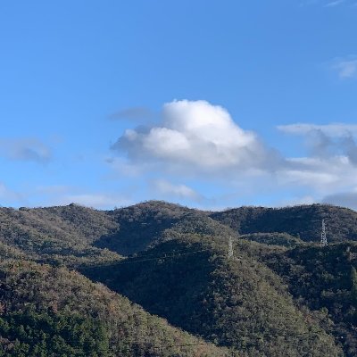 udon_tempura's profile picture. enechainで働くEMです。データやMLを活用し、事業を盛り上げるため、日々奮闘しています
Data scientist/ Engineer/ energy market