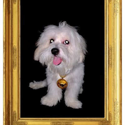 EndyEnsmart's profile picture. Good natured