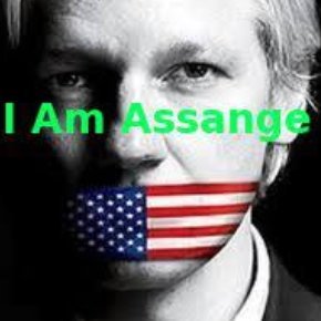 ‟The goal is an endless war, not a successful war.‟
- Julian Assange