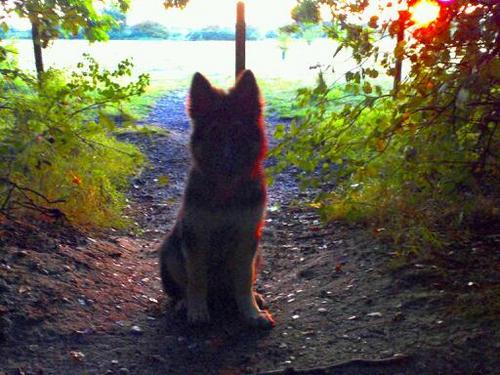 MrMunns's profile picture. all views are my own...