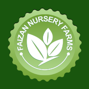 Faizan Nursery Farms(@faizan_farms) 's Twitter Profile Photo