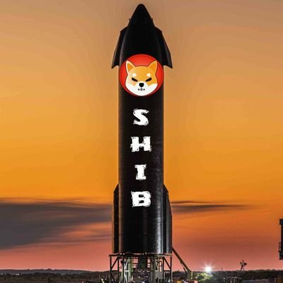 Crypto Hustler, Hodler of coins
$Shib ,$Feg , $BabyDoge
All in on $Shib💹💯