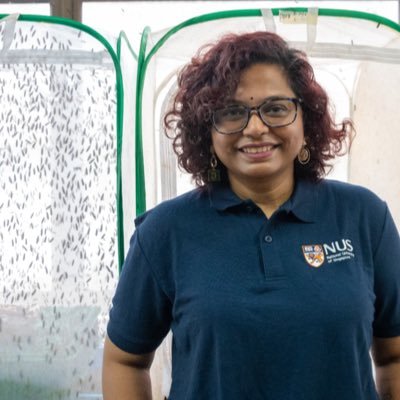 she/her | Evolutionary biologist in an urban jungle | Studies biodiversity, reproduction and speciation | Assistant Professor | National University of Singapore