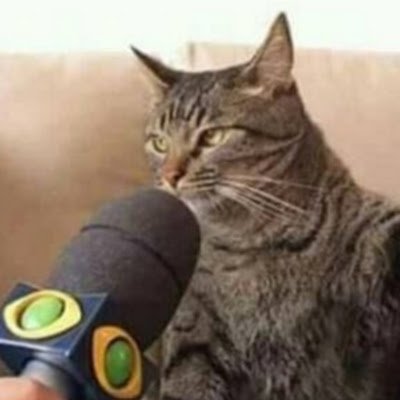 JorgeA96714415's profile picture. 