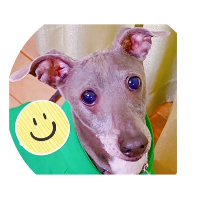 02hatori08's profile picture. 