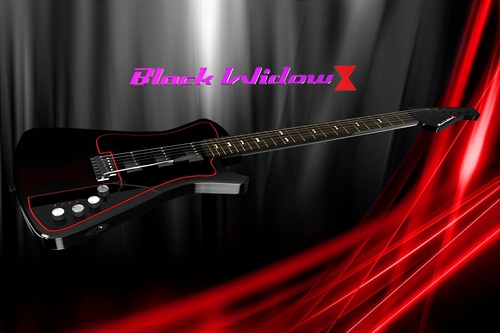 BW_Guitar's profile picture. Introducing a revolutionary concept in guitars, the Black Widow Guitar. Capable of reproducing 60+ unique tones.