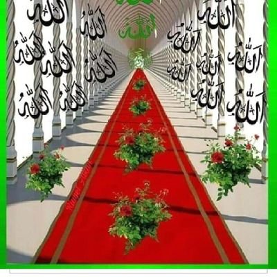 Asifur23761540's profile picture. 31